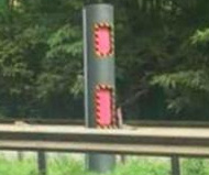 Pink speed camera