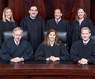 Michigan Supreme Court