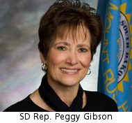 State Rep Peggy Gibson