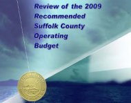 Suffolk County budget report