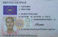 Sample UK license