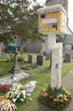 Flower speed camera